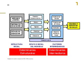 Adaptado de modelo coneptual de DSS. OMS en prensa.  