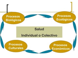 Salud
Individual o Colectivo
Procesos
Culturales
Procesos
Económicos
Procesos
Ecológicos
Procesos
Biológicos
 