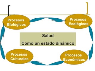 Salud
Como un estado dinámico
Procesos
Culturales
Procesos
Económicos
Procesos
Ecológicos
Procesos
Biológicos
 