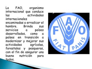 La     FAO,      organismo
internacional que conduce
las             actividades
internacionales
encaminadas a erradicar el
hambre.      Brinda      sus
servicios     a       países
desarrollados, como a
países en transición a
modernizar y mejorar sus
actividades       agrícolas,
forestales y pesqueras,
con el fin de asegurar una
buena     nutrición     para
todos.
 