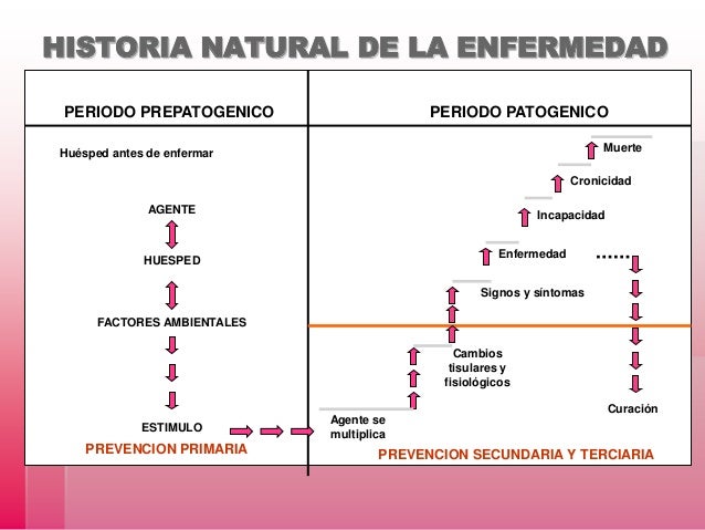 SALUD PUBLICA Historia Natural de la Enfermedad
