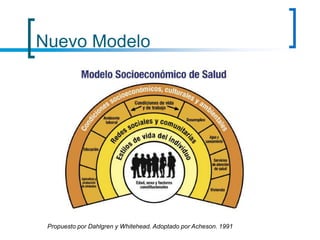 Nuevo Modelo
Propuesto por Dahlgren y Whitehead. Adoptado por Acheson. 1991
 