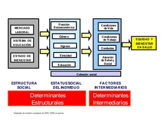 MERCADO
LABORAL
SISTEMA DE
EDUCACIÓN
ESTADO DE
BIENESTAR
ESTRUCTURA
SOCIAL
Posición
Socioeconómica
Género
Ingreso
ESTATUSSOCIAL
DEL INDIVIDUO
FACTORES
INTERMEDIARIOS
Condiciones
de Vida
Condiciones
de Trabajo
Conductas
Atención
de Saludy
Social
EQUIDAD Y
BIENESTAR
EN SALUD
Ref: M odified of Briefi
ng pa
per Heal
th in
equa
liti
es :c oncepts,
fram ework s and poli
c y a
utho
rs H. Graham , M P. Kel
ly 200
4, NHS
.
Determinantes
Intermediarios
Determinantes
Estructurales
Etnicidad
Educación
Cohesión social
Adaptado de modelo coneptual de DSS. OMS en prensa.
 
