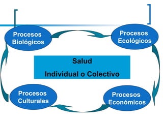 Salud
Individual o Colectivo
Procesos
Culturales
Procesos
Económicos
Procesos
Ecológicos
Procesos
Biológicos
 