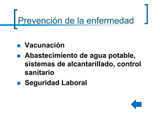 Prevención de la enfermedad
 Vacunación
 Abastecimiento de agua potable,
sistemas de alcantarillado, control
sanitario
 Seguridad Laboral
 