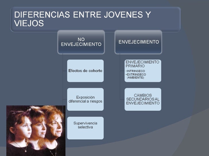 Envejecimiento, Holístico