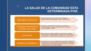 z
LA SALUD DE LA COMUNIDAD ESTA
DETERMINADA POR:
 