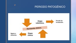 z
PERIODO PATOGÈNICO
 