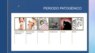 z
PERIODO PATOGÈNICO
 