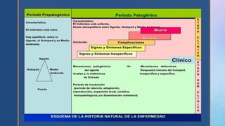 SALUD PUBLICA NOV 2020.pptx presentación
