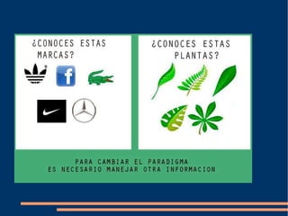 
    Explique el resto de las acciones necesarias
 