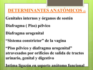 DETERMINANTES ANATÓMICOS (2)
Genitales internos y órganos de sostén
Diafragma ( Piso) pélvico
Diafragma urogenital
“Sistema constrictor” de la vagina
“Piso pélvico y diafragma urogenital”
atravesados por orificios de salida de tractos
urinario, genital y digestivo
Intima ligazón en soporte anátomo funcional
 