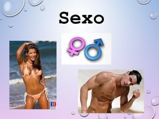 Sexo
 