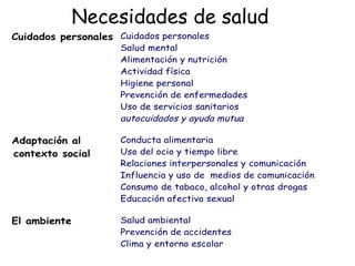 Necesidades de salud 