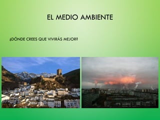 EL MEDIO AMBIENTE
¿DÓNDE CREES QUE VIVIRÁS MEJOR?
 