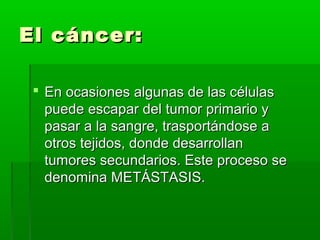 El cáncer:El cáncer:
 En ocasiones algunas de las célulasEn ocasiones algunas de las células
puede escapar del tumor primario ypuede escapar del tumor primario y
pasar a la sangre, trasportándose apasar a la sangre, trasportándose a
otros tejidos, donde desarrollanotros tejidos, donde desarrollan
tumores secundarios. Este proceso setumores secundarios. Este proceso se
denomina METÁSTASIS.denomina METÁSTASIS.
 