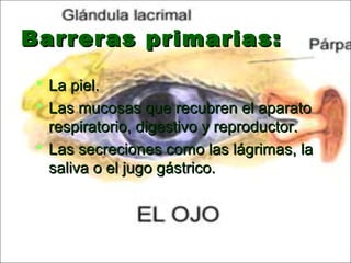 Barreras primarias:Barreras primarias:
 La piel.La piel.
 Las mucosas que recubren el aparatoLas mucosas que recubren el aparato
respiratorio, digestivo y reproductor.respiratorio, digestivo y reproductor.
 Las secreciones como las lágrimas, laLas secreciones como las lágrimas, la
saliva o el jugo gástrico.saliva o el jugo gástrico.
 