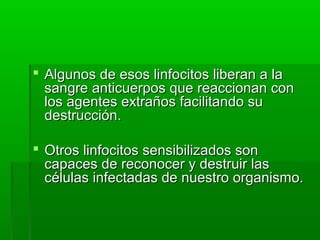  Algunos de esos linfocitos liberan a laAlgunos de esos linfocitos liberan a la
sangre anticuerpos que reaccionan consangre anticuerpos que reaccionan con
los agentes extraños facilitando sulos agentes extraños facilitando su
destrucción.destrucción.
 Otros linfocitos sensibilizados sonOtros linfocitos sensibilizados son
capaces de reconocer y destruir lascapaces de reconocer y destruir las
células infectadas de nuestro organismo.células infectadas de nuestro organismo.
 