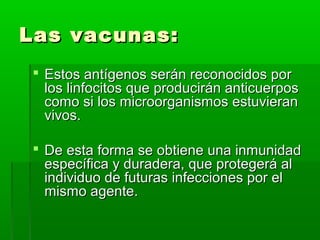 Las vacunas:Las vacunas:
 Estos antígenos serán reconocidos porEstos antígenos serán reconocidos por
los linfocitos que producirán anticuerposlos linfocitos que producirán anticuerpos
como si los microorganismos estuvierancomo si los microorganismos estuvieran
vivos.vivos.
 De esta forma se obtiene una inmunidadDe esta forma se obtiene una inmunidad
específica y duradera, que protegerá alespecífica y duradera, que protegerá al
individuo de futuras infecciones por elindividuo de futuras infecciones por el
mismo agente.mismo agente.
 