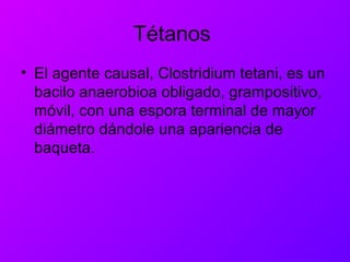 Tétanos
• El agente causal, Clostridium tetani, es un
bacilo anaerobioa obligado, grampositivo,
móvil, con una espora terminal de mayor
diámetro dándole una apariencia de
baqueta.
 