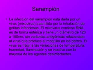 Sarampión
• La infección del sarampión está dada por un
virus (mixovirus) trasmitida por la inhalación de
gotitas infecciosas. El mixovirus contiene RNA,
es de forma esférica y tiene un diámetro de 120
a 150nm, sin variantes antigénicas relacionado
al virus que produce el moquillo en los perros. El
virus es frágil a las variaciones de temperatura,
humedad, iluminación y se inactiva con la
mayoría de los agentes desinfectantes.
 