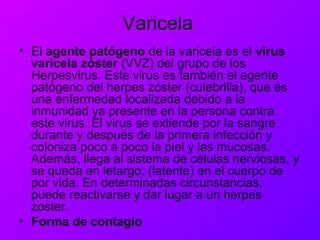 Varicela
• El agente patógeno de la varicela es el virus
varicela zóster (VVZ) del grupo de los
Herpesvirus. Este virus es también el agente
patógeno del herpes zóster (culebrilla), que es
una enfermedad localizada debido a la
inmunidad ya presente en la persona contra
este virus. El virus se extiende por la sangre
durante y después de la primera infección y
coloniza poco a poco la piel y las mucosas.
Además, llega al sistema de células nerviosas, y
se queda en letargo; (latente) en el cuerpo de
por vida. En determinadas circunstancias,
puede reactivarse y dar lugar a un herpes
zoster.
• Forma de contagio
 