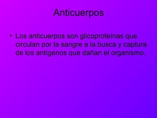 Anticuerpos
• Los anticuerpos son glicoproteínas que
circulan por la sangre a la busca y captura
de los antígenos que dañan el organismo.
 