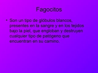 Fagocitos
• Son un tipo de glóbulos blancos,
presentes en la sangre y en los tejidos
bajo la piel, que engloban y destruyen
cualquier tipo de patógeno que
encuentran en su camino.
 