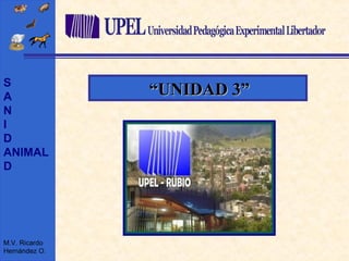 S
A
N
I
D
ANIMAL
D
M.V. Ricardo
Hernández O.
““UNIDAD 3”UNIDAD 3”
 