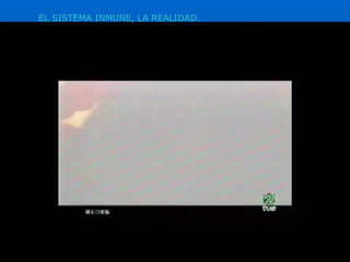 EL SISTEMA INMUNE, LA REALIDAD. 
