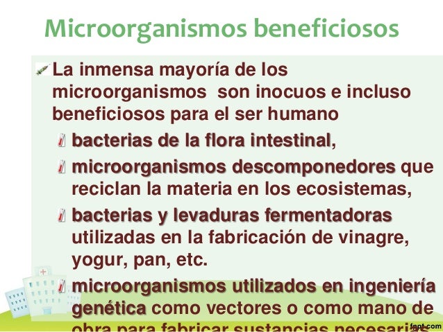 La profiláctica de los parásitos de que edad