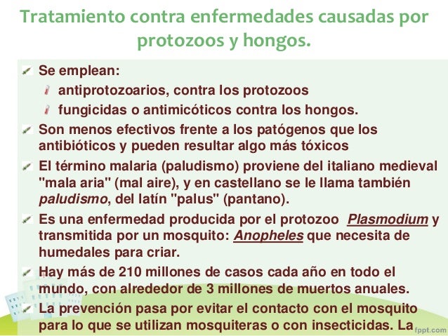 Que sanar el hongo sobre las uñas de los pies barato