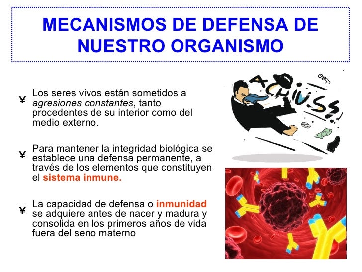 SALUD Y ENFERMEDAD