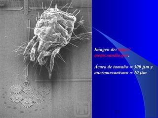 Imagen de: http://
mems.sandia.gov.
Ácaro de tamaño ≈ 300 µ m y
micromecanismo ≈ 10 µ m

29/11/13

11

 
