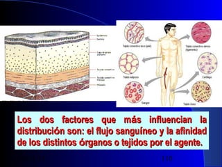 Los dos factores que más influencian la
distribución son: el flujo sanguíneo y la afinidad
de los distintos órganos o tejidos por el agente.
29/11/13

110

 