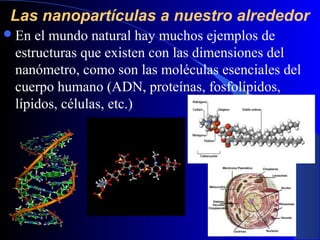 Las nanopartículas a nuestro alrededor
 En

el mundo natural hay muchos ejemplos de
estructuras que existen con las dimensiones del
nanómetro, como son las moléculas esenciales del
cuerpo humano (ADN, proteínas, fosfolípidos,
lípidos, células, etc.)

29/11/13

27

 