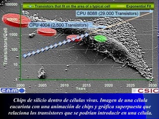 Chips de silicio dentro de células vivas. Imagen de una célula
eucariota con una animación de chips y gráfica superpuesta que
relaciona los transistores que se podrían introducir en una célula.
29/11/13
53

 