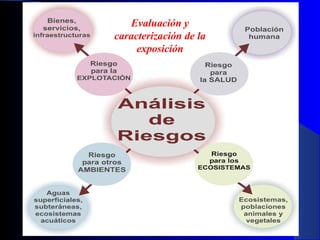 Evaluación y
caracterización de la
exposición

29/11/13

93

 