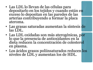 • Las LDL lo llevan de las células para
  depositarlo en los tejidos y cuando están en
  exceso lo depositan en las paredes de las
  arterias contribuyendo a formar la placa
  ateroma.
• Las grasas saturadas aumentan la síntesis de
  las LDL.
• Las LDL oxidadas son más aterogénicas, por
  lo que la presencia de antioxidantes en la
  dieta reducen la concentración de colesterol
  en plasma.
• Los ácidos grasos poliinsaturados reducen los
  niveles de LDL y aumentan los de HDL.
 