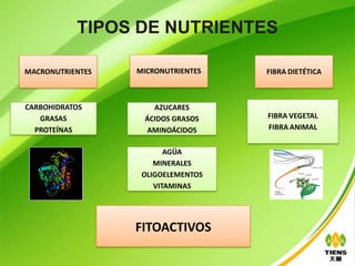 TIPOS DE NUTRIENTES

MACRONUTRIENTES   MICRONUTRIENTES   FIBRA DIETÉTICA



CARBOHIDRATOS        AZUCARES
   GRASAS          ÁCIDOS GRASOS    FIBRA VEGETAL
  PROTEÍNAS         AMINOÁCIDOS     FIBRA ANIMAL


                         AGÜA
                      MINERALES
                   OLIGOELEMENTOS
                      VITAMINAS




                  FITOACTIVOS
 