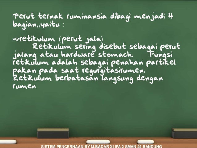 Api pakan data langsung forex