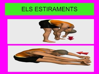 ELS ESTIRAMENTS 