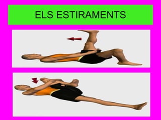ELS ESTIRAMENTS 