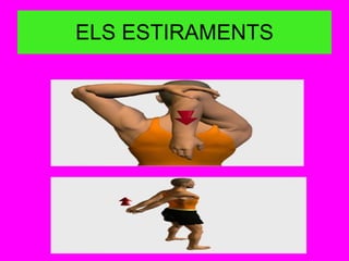 ELS ESTIRAMENTS 