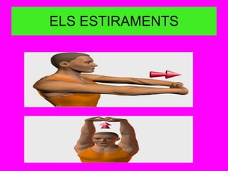 ELS ESTIRAMENTS 