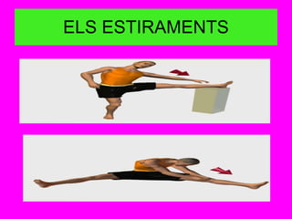 ELS ESTIRAMENTS 