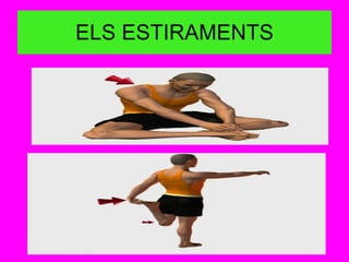 ELS ESTIRAMENTS 