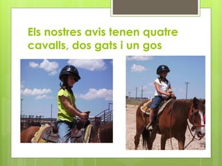 Els nostres avis tenen quatre
cavalls, dos gats i un gos
 
