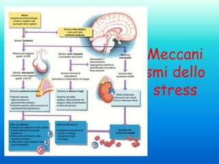 Meccani
smi dello
stress

 