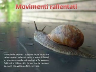 Gli individui depressi possono anche mostrare
rallentamenti nel movimento e avere difficoltà
a camminare con la solita velocità. Se avevano
l’abitudine di tenersi in forma, queste persone
possono non voler più fare esercizio.

 